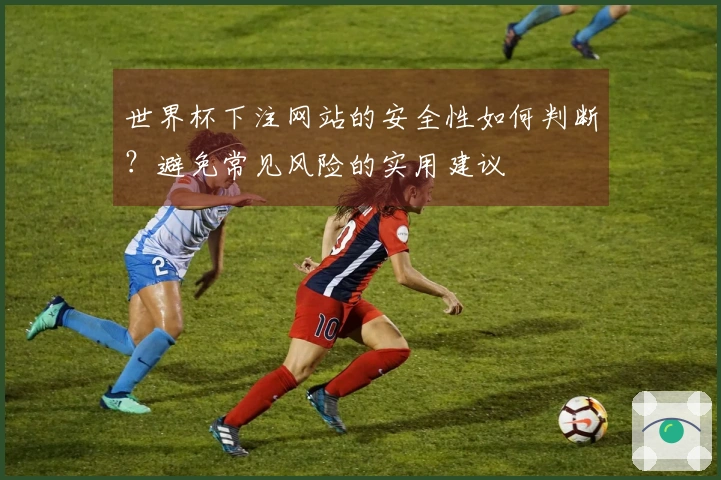 世界杯下注网站的安全性如何判断？避免常见风险的实用建议