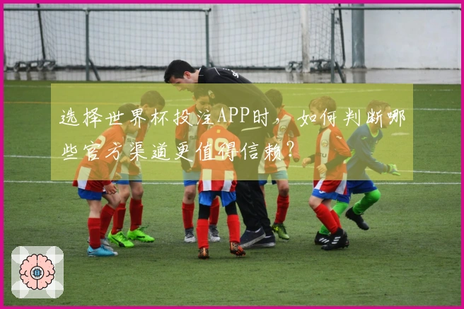 选择世界杯投注APP时，如何判断哪些官方渠道更值得信赖？