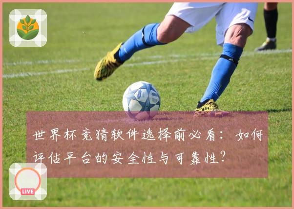 世界杯竞猜软件选择前必看：如何评估平台的安全性与可靠性？
