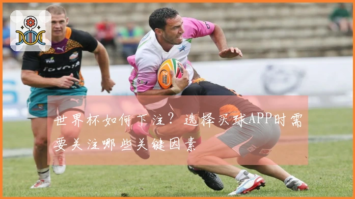 世界杯如何下注？选择买球APP时需要关注哪些关键因素