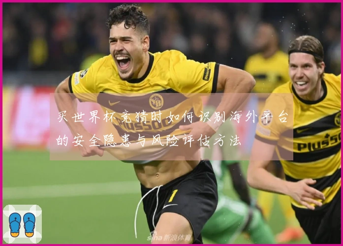 买世界杯竞猜时如何识别海外平台的安全隐患与风险评估方法