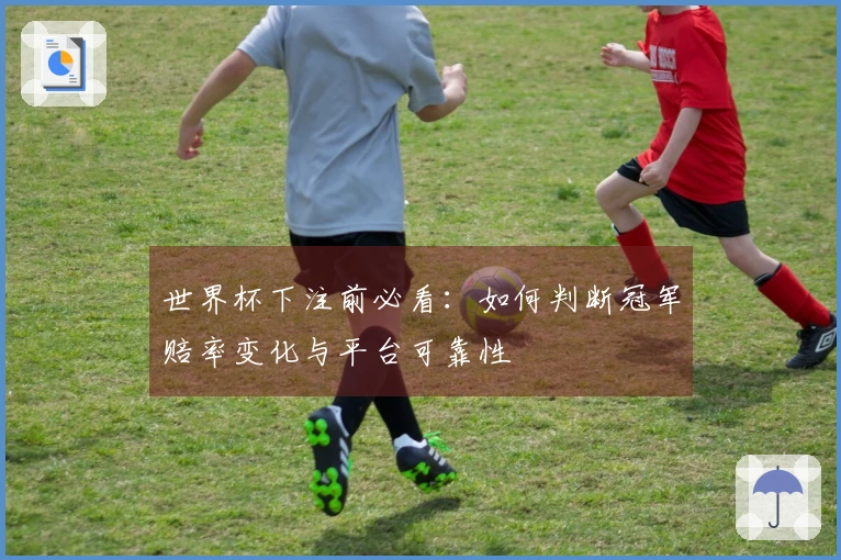 世界杯下注前必看：如何判断冠军赔率变化与平台可靠性