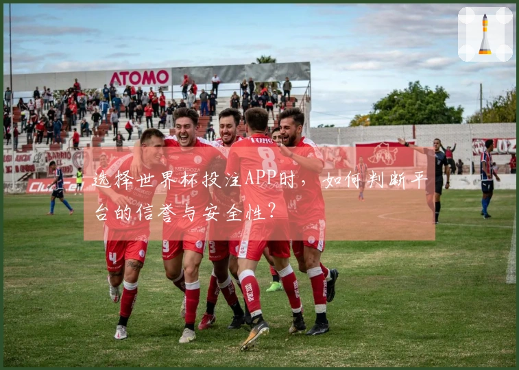 选择世界杯投注APP时，如何判断平台的信誉与安全性？