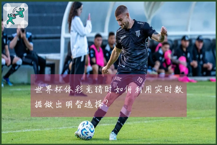 世界杯体彩竞猜时如何利用实时数据做出明智选择？