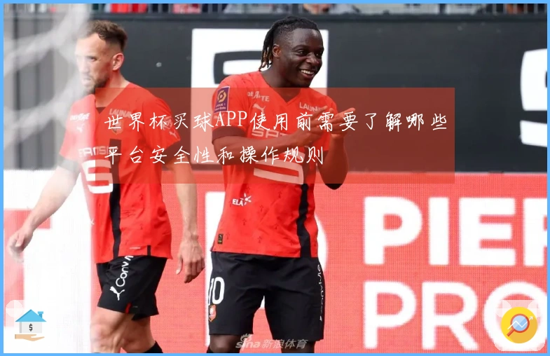 世界杯买球APP使用前需要了解哪些平台安全性和操作规则