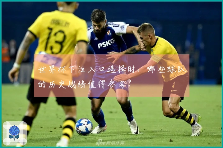 世界杯下注入口选择时，哪些球队的历史战绩值得参考？