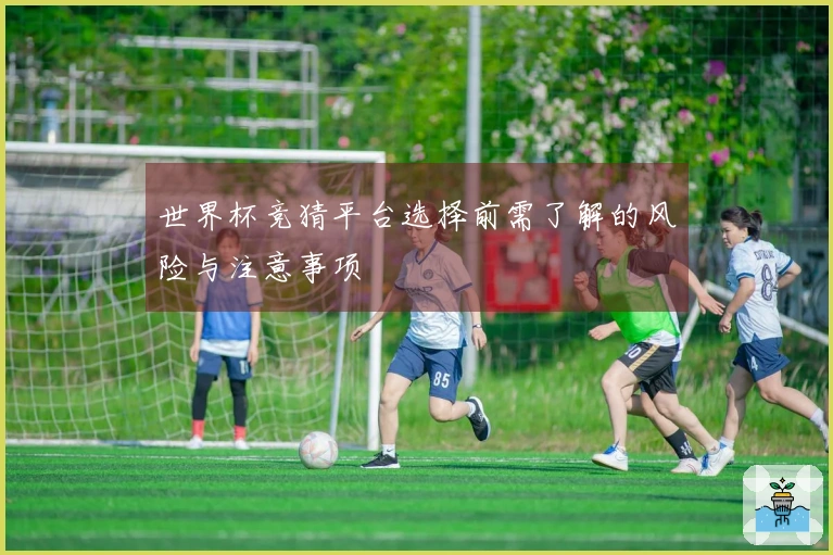 世界杯竞猜平台选择前需了解的风险与注意事项