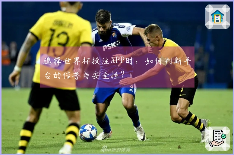 选择世界杯投注APP时，如何判断平台的信誉与安全性？