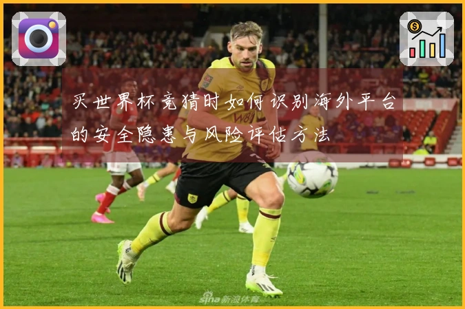 买世界杯竞猜时如何识别海外平台的安全隐患与风险评估方法