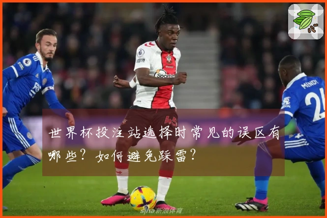 世界杯投注站选择时常见的误区有哪些？如何避免踩雷？