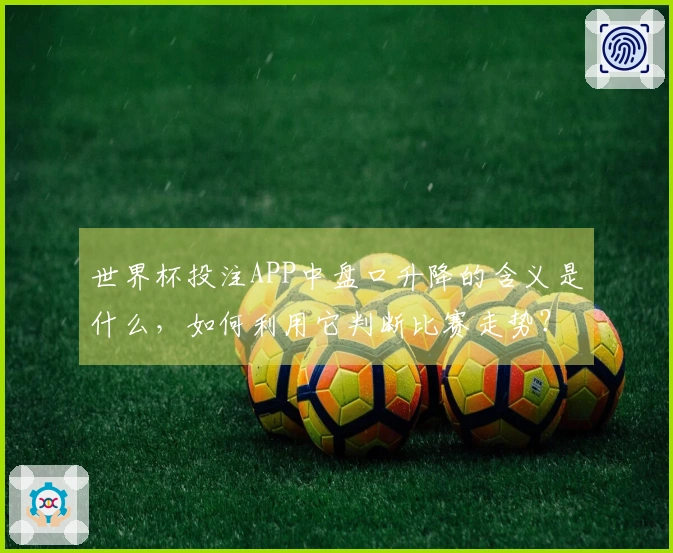 世界杯投注APP中盘口升降的含义是什么，如何利用它判断比赛走势？