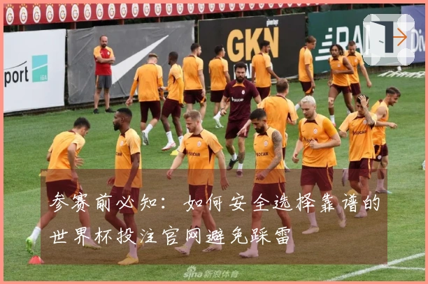 参赛前必知：如何安全选择靠谱的世界杯投注官网避免踩雷