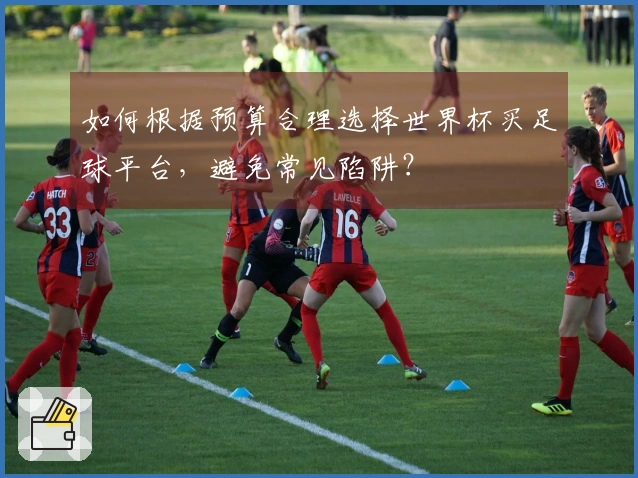 如何根据预算合理选择世界杯买足球平台，避免常见陷阱？