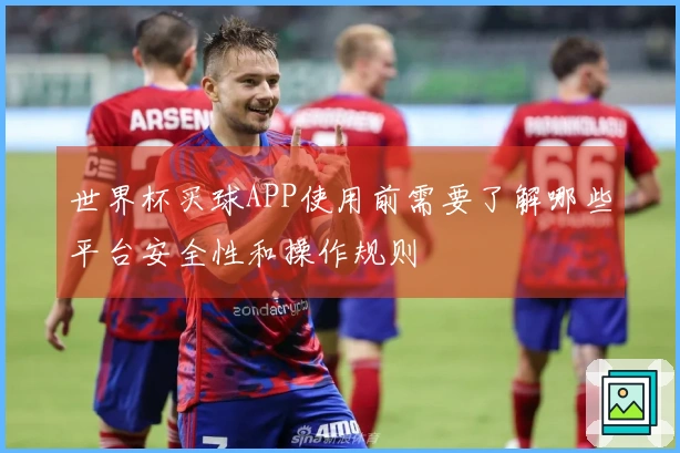 世界杯买球APP使用前需要了解哪些平台安全性和操作规则
