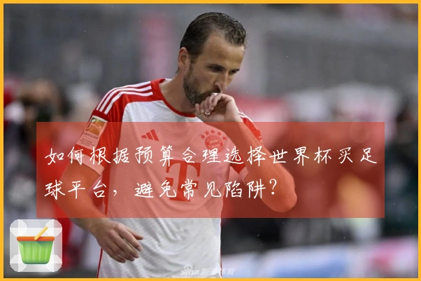 如何根据预算合理选择世界杯买足球平台，避免常见陷阱？