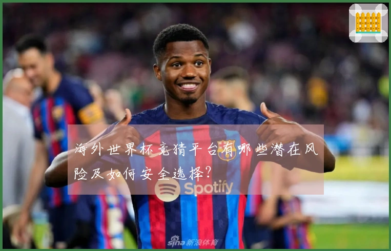 海外世界杯竞猜平台有哪些潜在风险及如何安全选择？