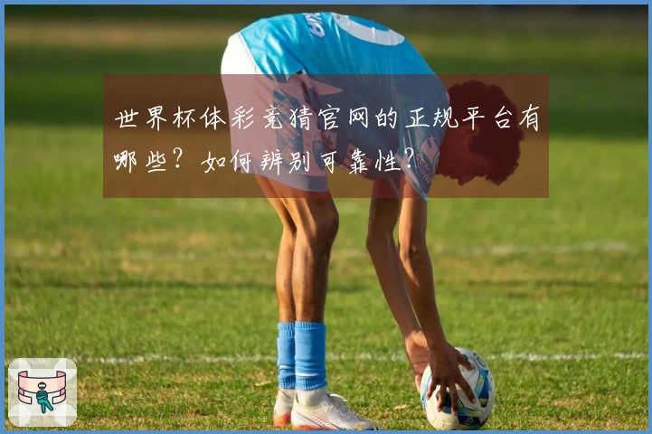 世界杯体彩竞猜官网的正规平台有哪些？如何辨别可靠性？