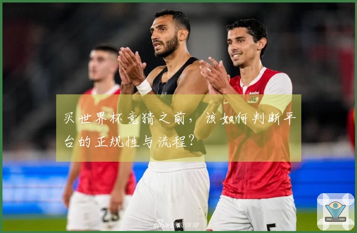 买世界杯竞猜之前，该如何判断平台的正规性与流程？