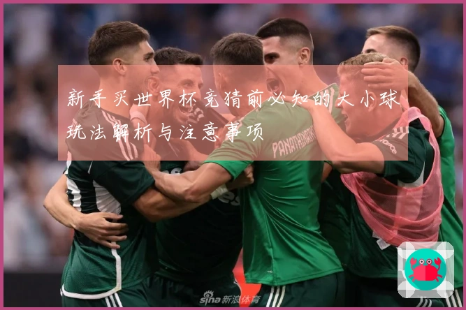 新手买世界杯竞猜前必知的大小球玩法解析与注意事项