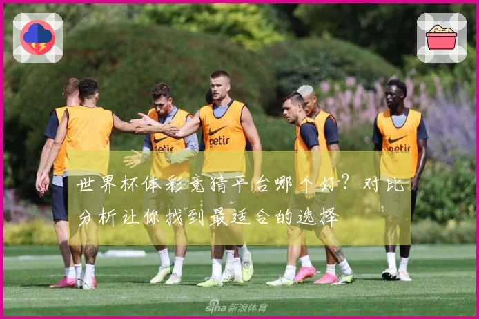 世界杯体彩竞猜平台哪个好？对比分析让你找到最适合的选择