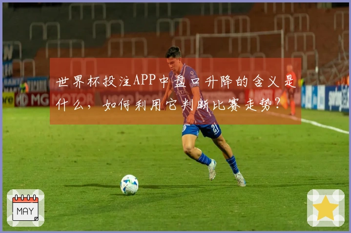 世界杯投注APP中盘口升降的含义是什么，如何利用它判断比赛走势？